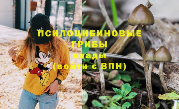 spice Алексин