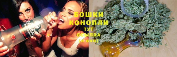 spice Алексин